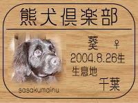 ���Ă���̂a�k�n�f�ւf�n�I